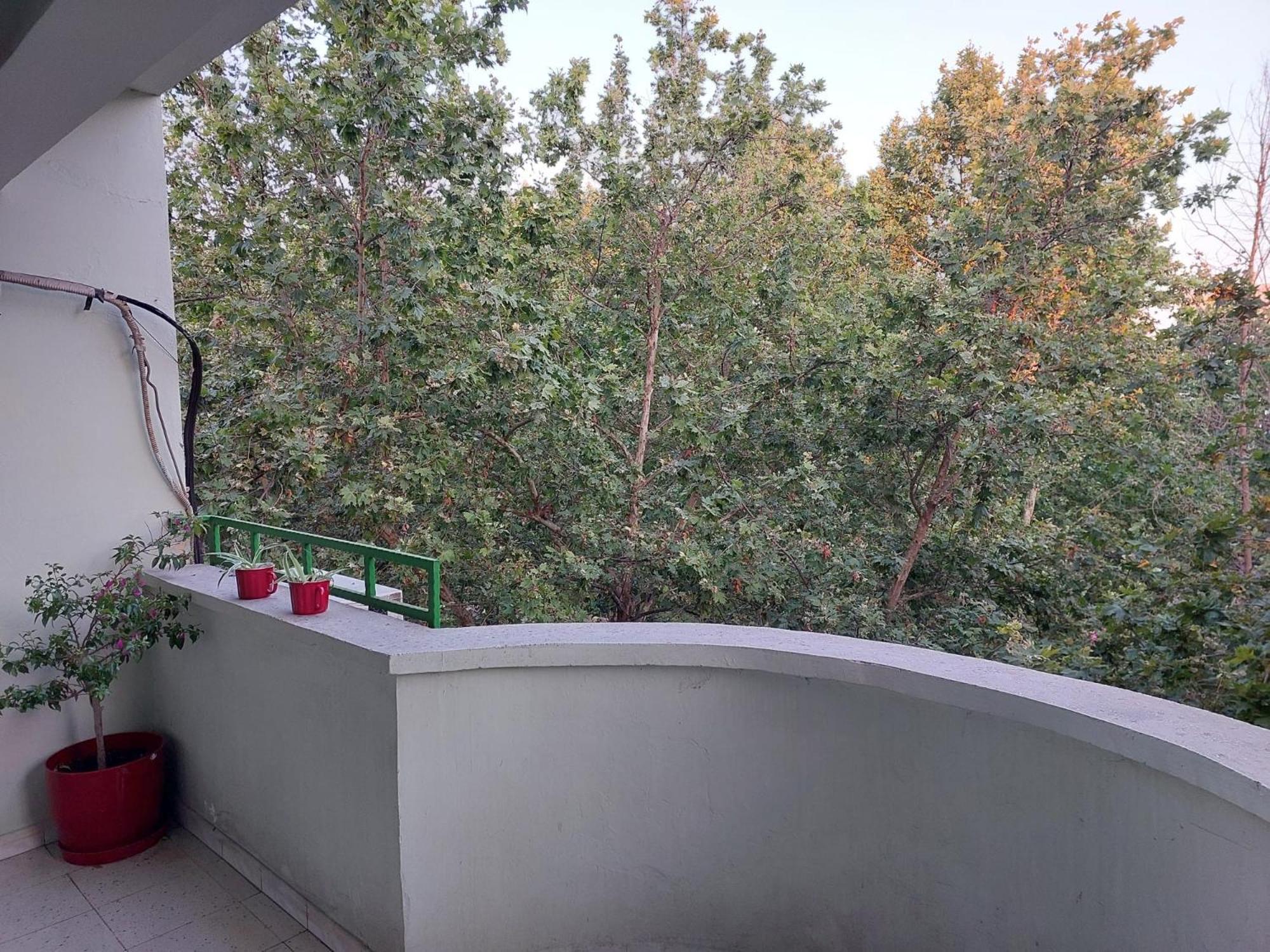 River Hostel *