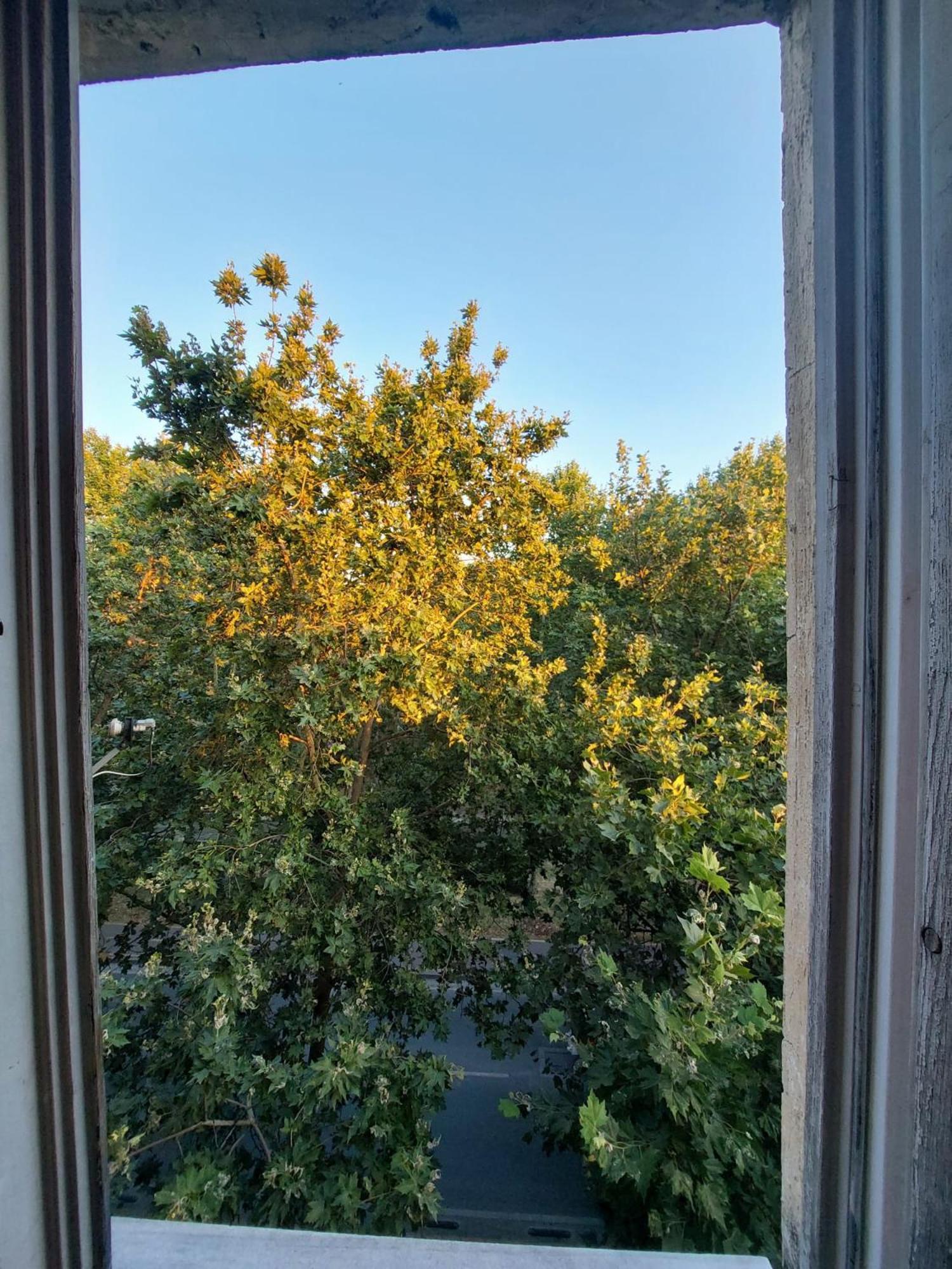 Hostel River Tirana